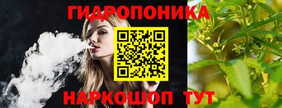 дмт Бийск