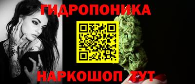 дмт Бийск