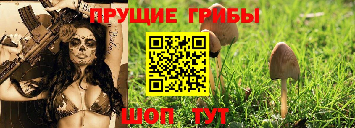 Галлюциногенные грибы Psilocybe  Вход с VPN  Выборг 