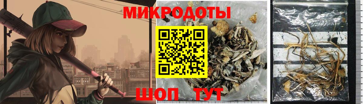 Псилоцибиновые грибы GOLDEN TEACHER Выборг